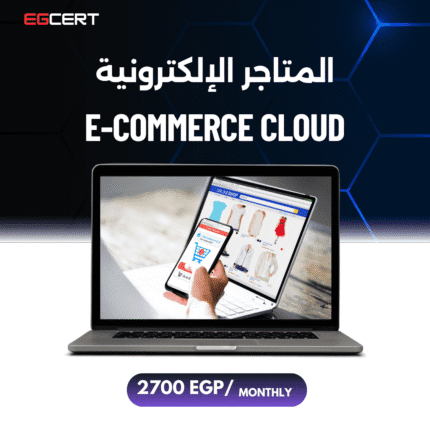 المتاجر الإلكترونية (E-Commerce)
